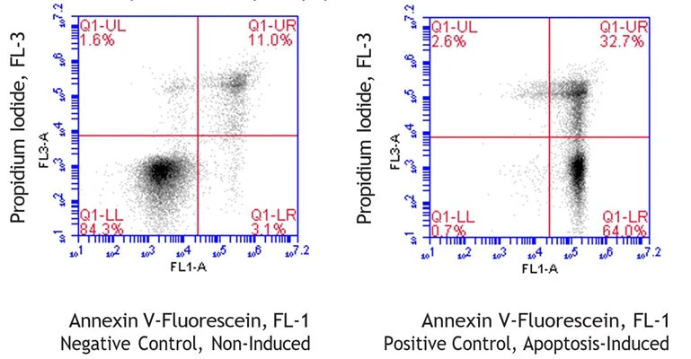 Swine Annexin V-Fluorescein Apoptosis Assay Kit
